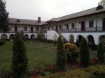 La Manastirea Cernica 5